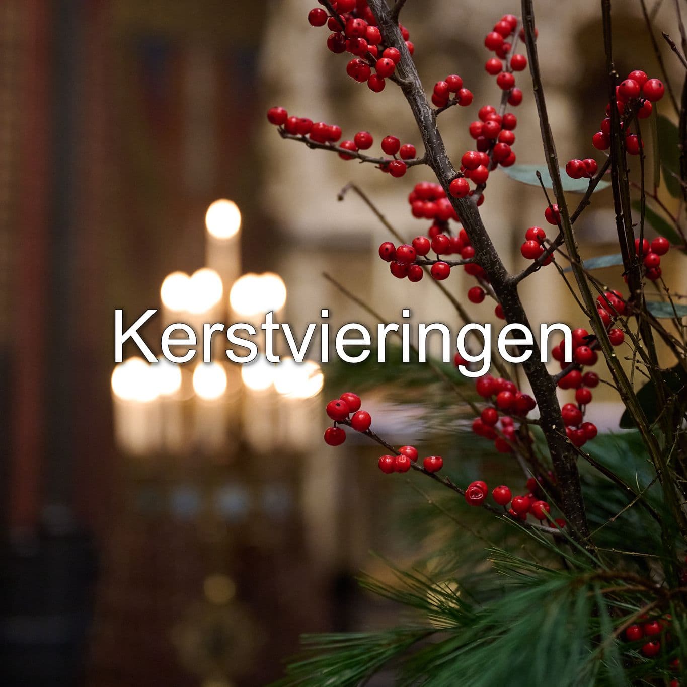 Christmas Celebrations image