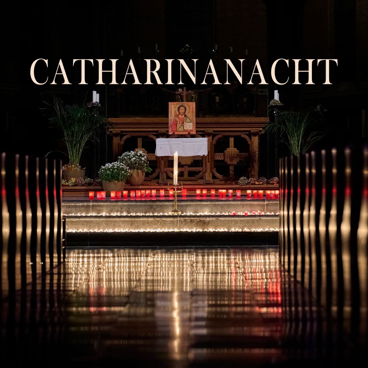 Catharinanacht article image