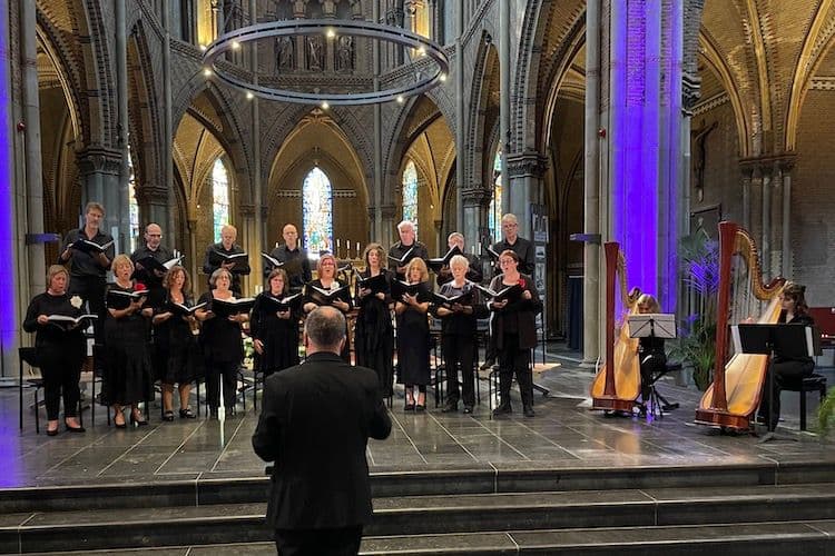 Concerten - Muziek in de st. Catharienakerk image